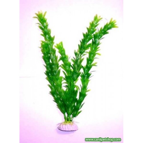 .Elodea Yeşil Plastik Bitki Boy : 20 Cm