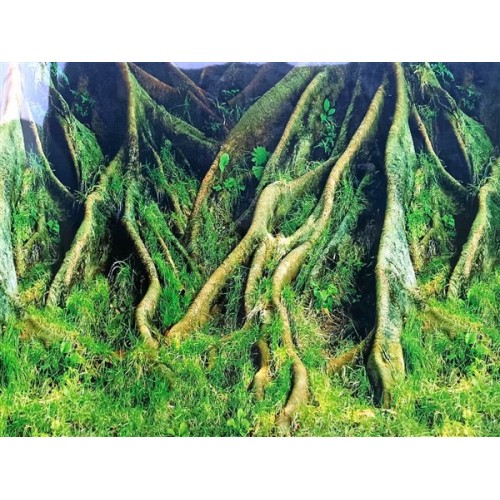 Arka fon Yeşil Ağaç Kökü 50 cm Uzunluk Yükseklik 30 Cm NO 8009