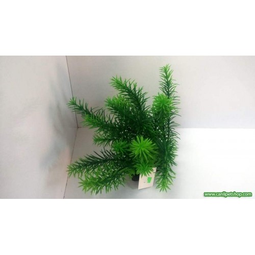 Lüks Plastik Bitki  No :  6  Boy : 13 Cm (Hemianthus Mikra)