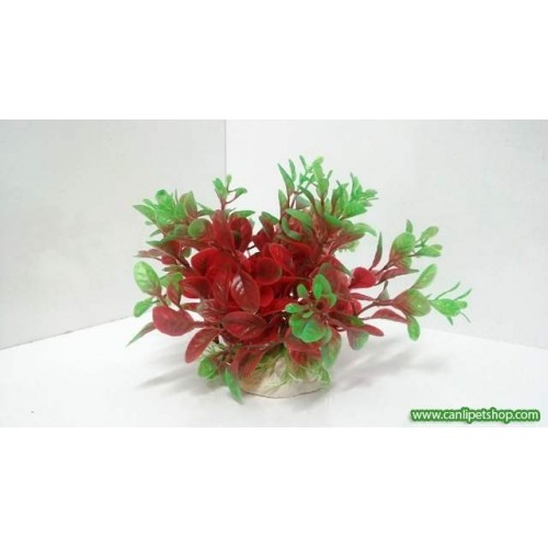 Lüks Plastik Bitki  ZEMİN-2