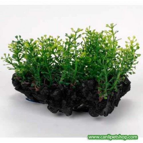 Dekorlu Plastik Bitki 13 cm (2112122)