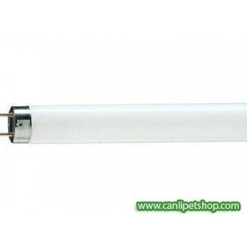 T8 30 Watt 90 cm Daylight Floresan