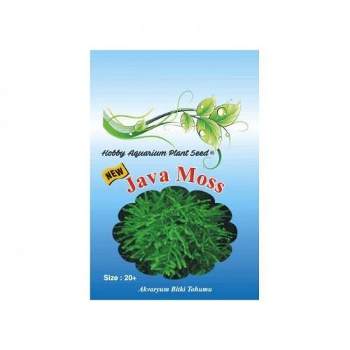 HOPS CANLI BİTKİ TOHUMU JAVA MOSS 