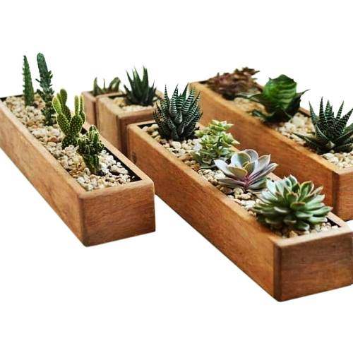 kaktüs standı ahşap Kanal 30x10 Cm