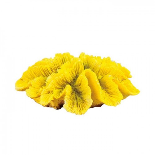 Yapay Mercan Dekor Top ( sarı) 14 cm x 12 cm