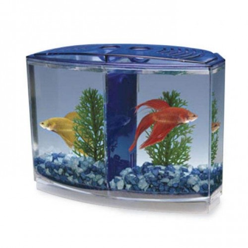 Betta Kabı 2 Bölmeli (Penn Plax)