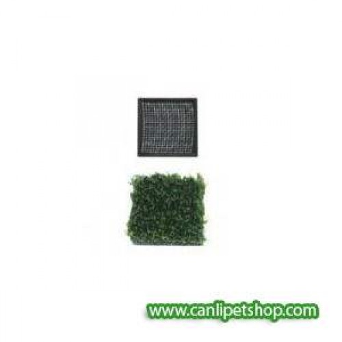 ista Kare Seramik Tabanlı Çelik Bitki Teli 5x5 Cm