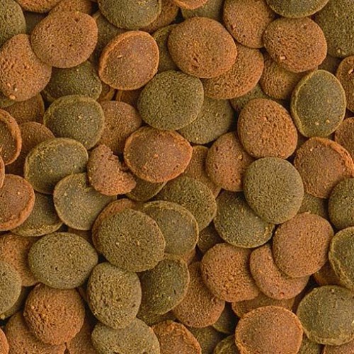 Tetra Wafer Mix 100 ml – Dip Balıkları ve Vatozlar İçin Karışık Tablet Yem