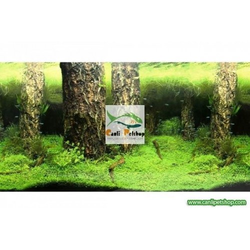 Arka Fon  (Manzara-6) 50 cm Uzunluk Yükseklik 40 Cm NO 9086