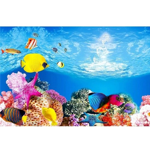 Arka Fon No:9095 Kayıp Nemo 50 cm Uzunluk 50 Cm Yükseklik