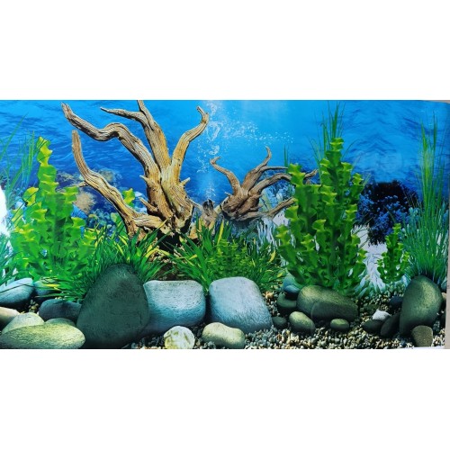 Arka Fon No: 9091 Mercan Okyanusu 50 cm Uzunluk (60 cm Yükseklik)