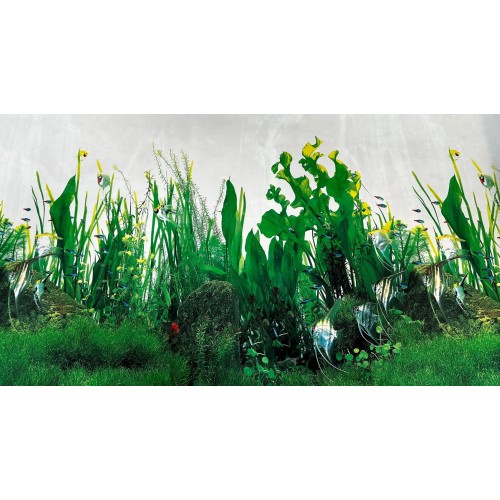 Arka Fon (Bitkili Akvaryum) 50 cm Uzunluk Yükseklik 40 Cm No:9038