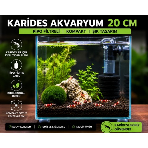 Karides Akvaryum Seti (Tak çalıştır, Motor dahildir)