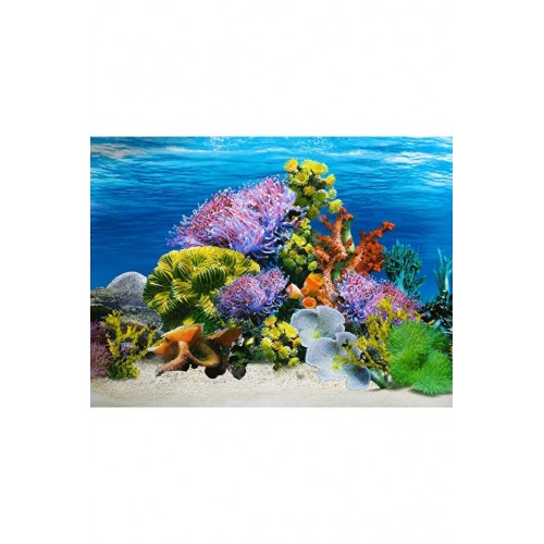 Arka Fon (Mercan Bahçesi)No:9024 Uzunluk 50 Cm (YÜKSEKLİK 30 CM)