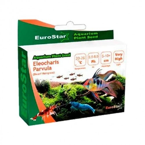 Bitki Tohumu Eleocharis Parvula 1 Paket