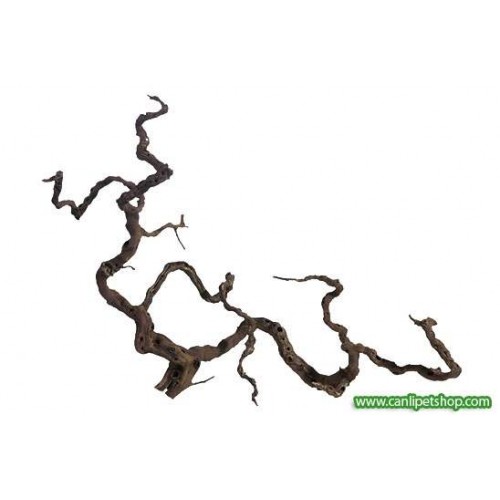Wine wood Kütük 20-30 cm