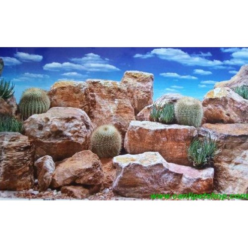 Arka Fon (bulutlu çöl)  50 cm uzunluk  Yükseklik 46 Cm