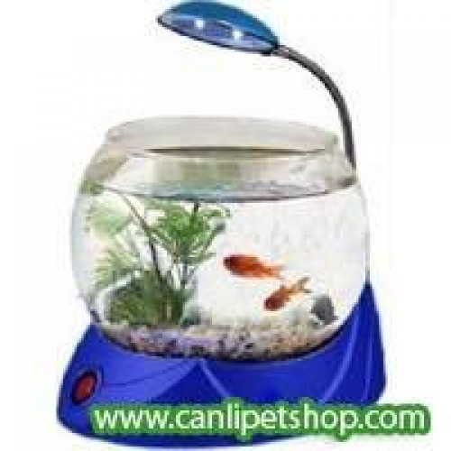Hailea 2,5 litre ledli beta