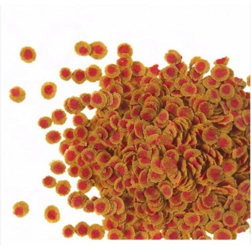 TetraPro Colour Kovadan Bölme 50 gr