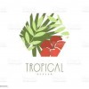 Tropical