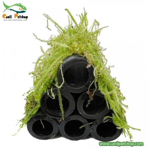 Y-Moss "Tüpe Tutturulmuş Karides Yuvası ve Üretim Tüpü 6 lı" 1 Ad 7 Cm