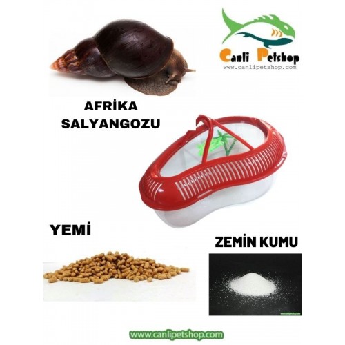 Dev Afrika Salyangozu Ve Bakım Seti Full Paket Komple Set Beyaz Renk Afrika