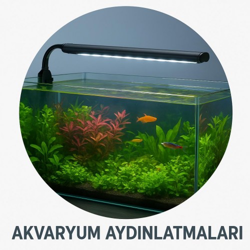 Akvaryum Aydınlatmaları