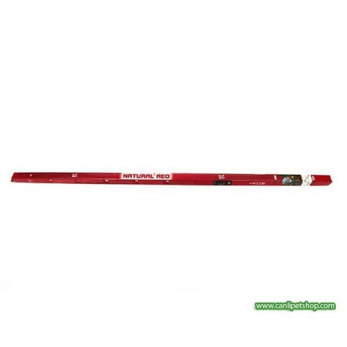T5 Floresan 39 W 85 cm (Angora) Kırmızı Renk