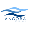 Angora