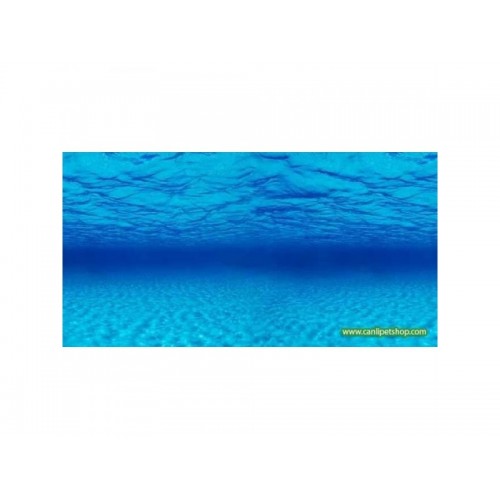 Arka Fon  (Sudaki Derinlik) 50 cm Uzunluk / Yükseklik 60 Cm