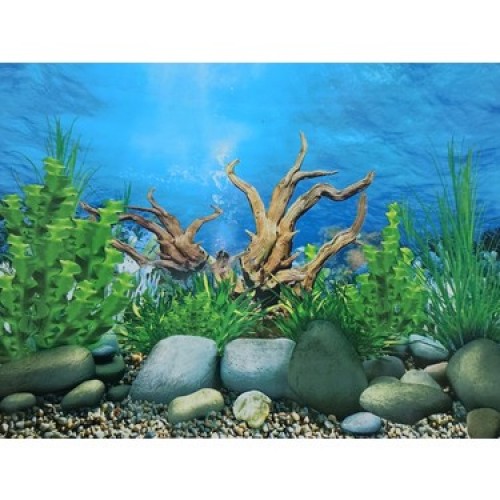 Arka fon  ağaç köklü  Uzunluk 50 Cm Yükseklik 30 cm 