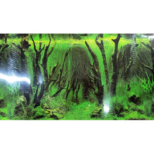 Arka Fon 50 cm Uzunluk Yükseklik 30 Cm NO 9085