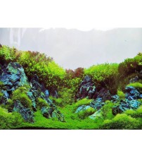 Arka Fon Bitkili Akvaryum Görünümlü 50 Cm Uzunluk Yükseklik 60 Cm NO 9087