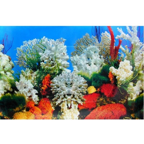 Arka Fon Mercan Görünümlü 50 Cm Uzunluk Yükseklik 30 Cm NO 9029