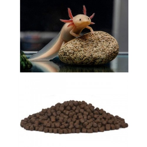 Y-Axolotl Yemi 40 Gr Batan yem