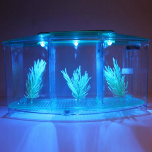 Betta Kabı 3 Bölmeli ışık tesisatlı