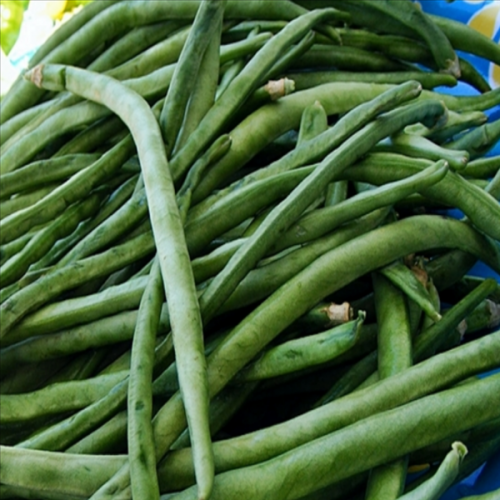 Börülce Tohumu Kılçıksız (25 gr)