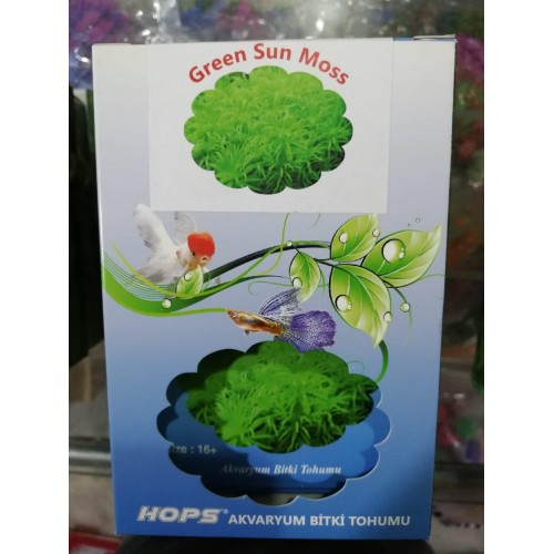 HOPS CANLI BİTKİ TOHUMU GREEN SUN MOS 