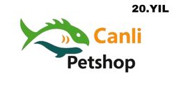 Canlipetshop Akvaryum