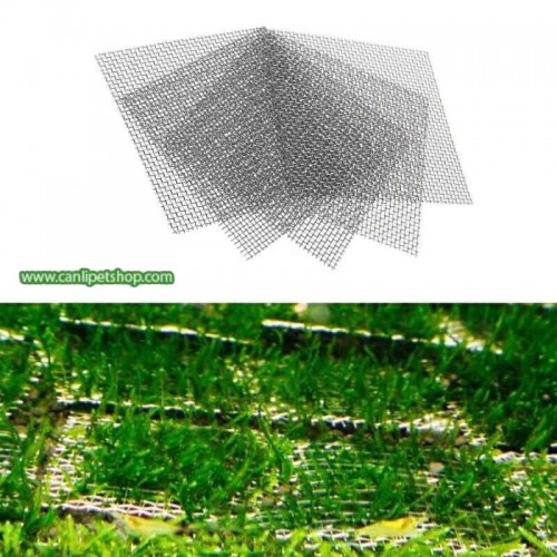 Çelik Bitki Teli Moss için 5x5 Cm Sadece Tel