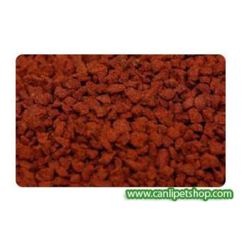 Ciklet Balık Renk Yemi 500 Gr