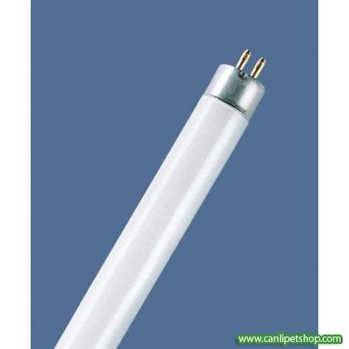 Daylight T8 15 Watt 44 cm Floresan