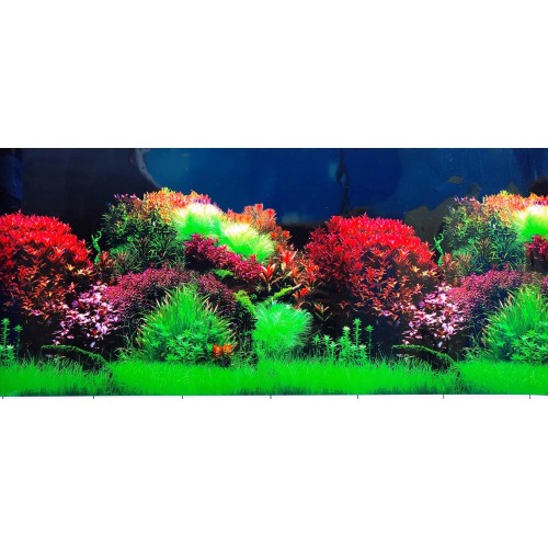 Arka Fon Kırmızı Cazibe 50 cm Uzunluk Yükseklik 40 Cm NO 8007