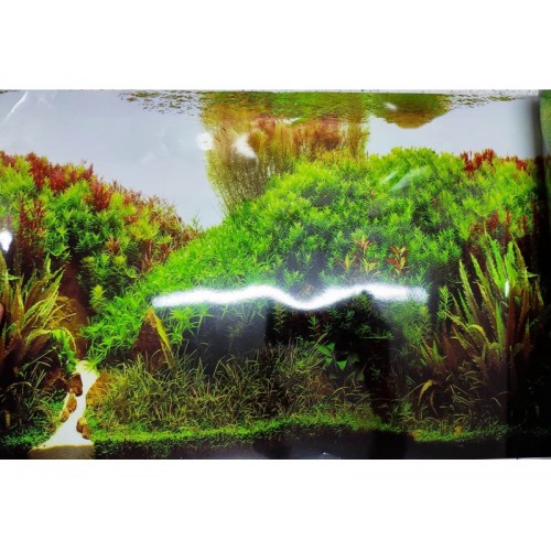 Arka Fon 50 cm Uzunluk Yükseklik 40 Cm NO 9084