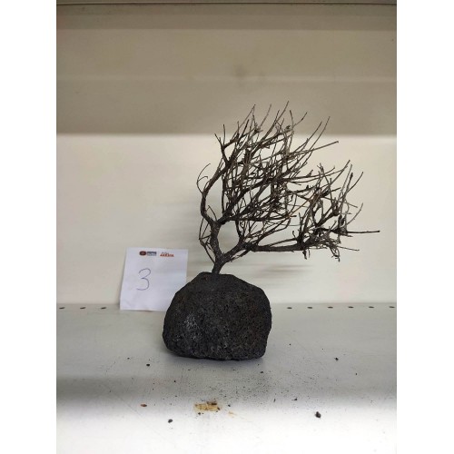 Özel Tasarım Akvaryum Dekoratif Ağaç Kaya 18*15 Cm