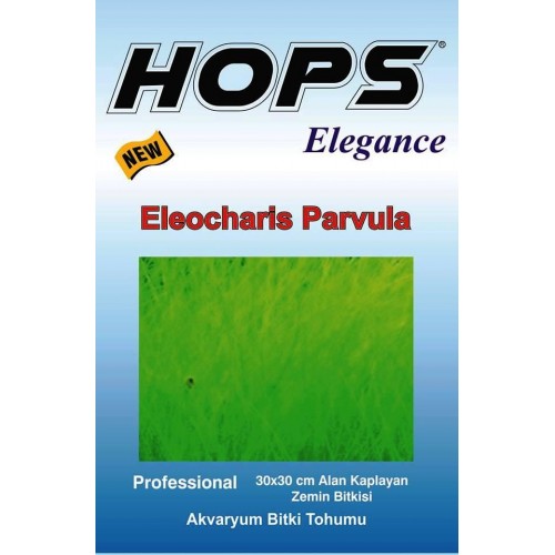 Bitki Tohumu Eleocharis Parvula - Hops
