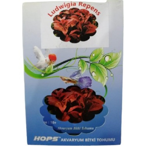HOPS CANLI BİTKİ TOHUMU LUDWİGİA REPENS