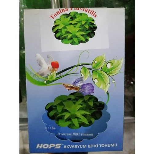 HOPS CANLI BİTKİ TOHUMU TONİNA FLUVLATİLİS