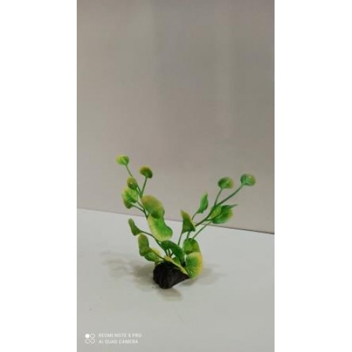 Plastik Bitki 10 cm Verticillata 