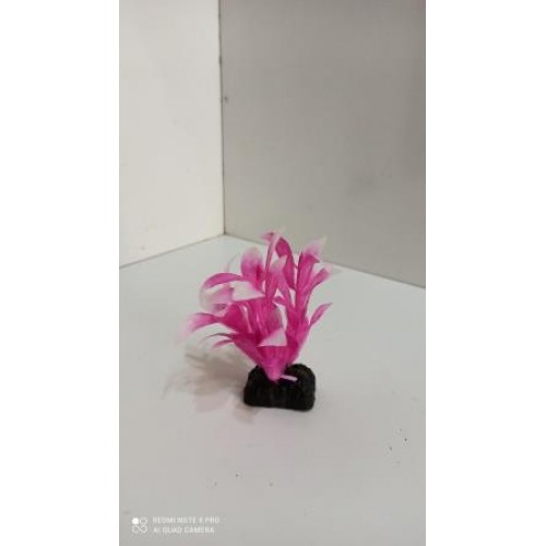 Plastik Bitki 10 cm Alternanthera